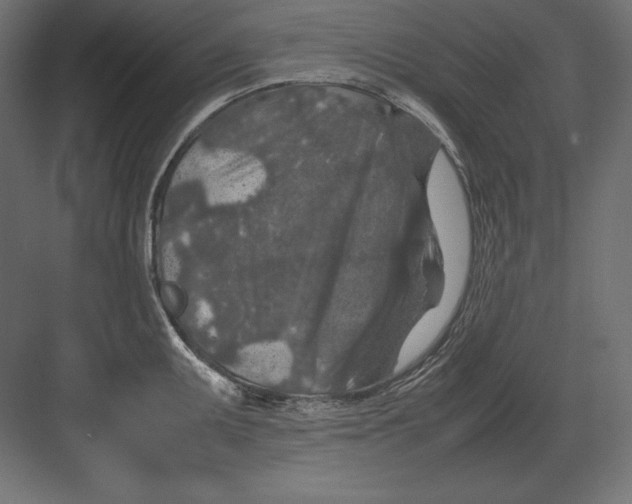 X0000082151095200702092145