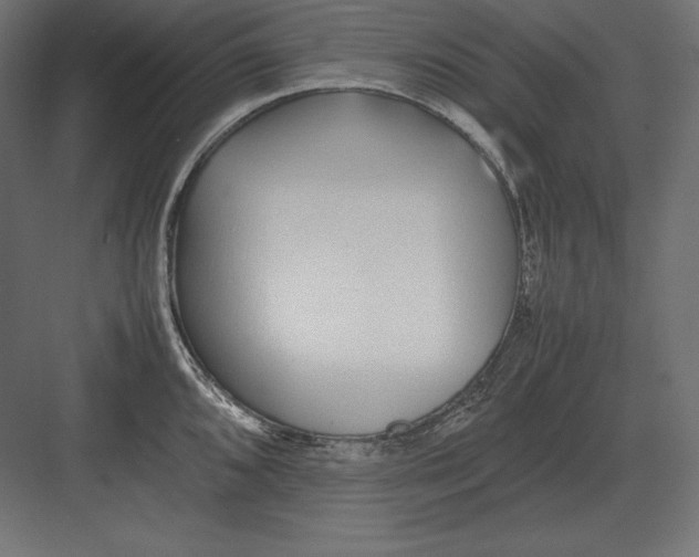 X0000082151096200702092145