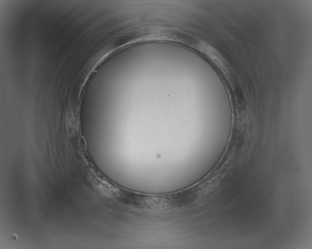 X0000082151097200702092145