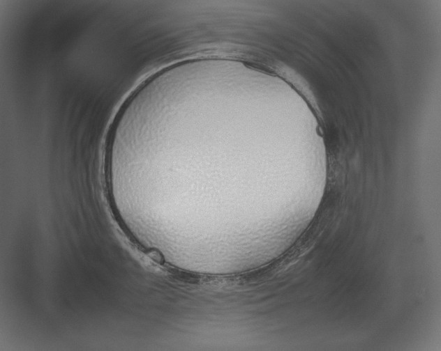 X0000082151099200702092144