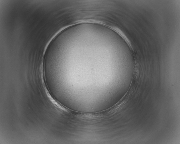 X0000082151100200702092144