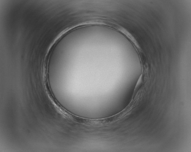 X0000082151101200702092144