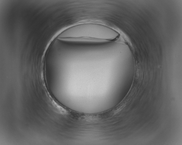 X0000082151102200702092144