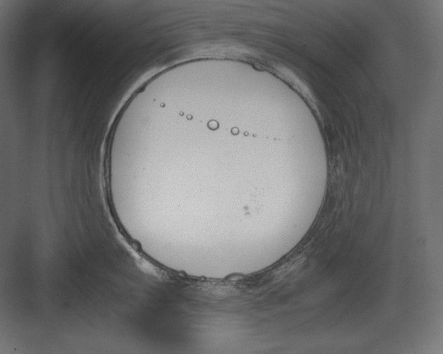 X0000082151103200702092144