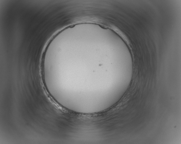 X0000082151104200702092144