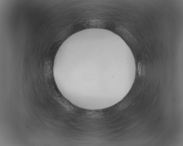 X0000082151107200702092144