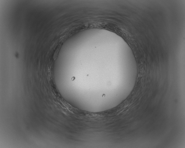 X0000082151109200702092144