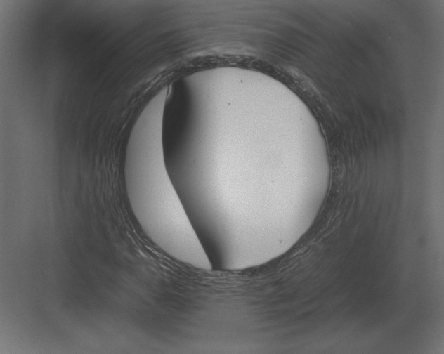 X0000082151110200702092144