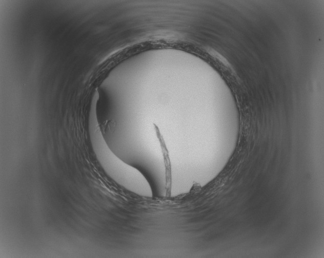 X0000082151112200702092144