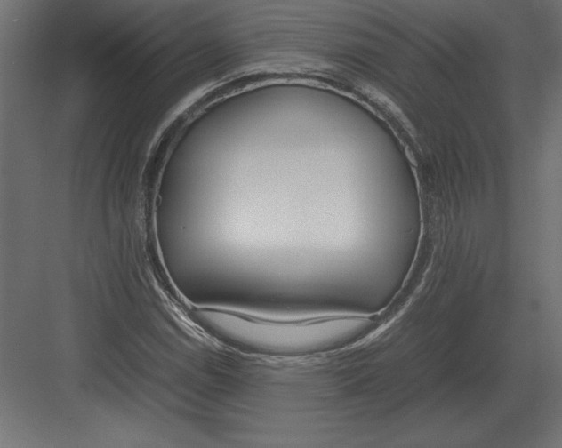 X0000082151114200702092144