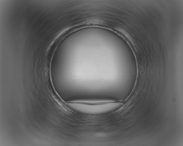 X0000082151115200702092144