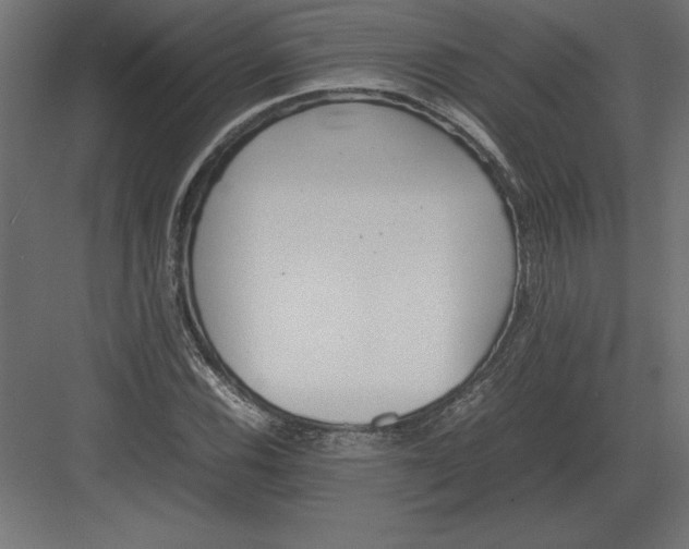 X0000082151116200702092144