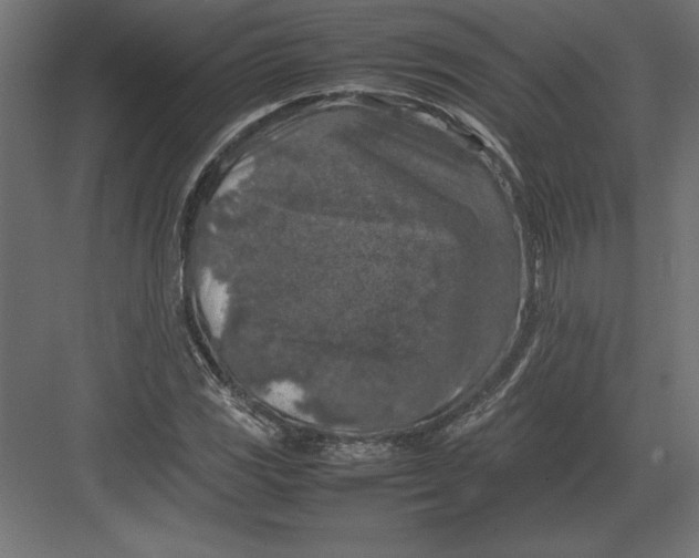 X0000082151117200702092144