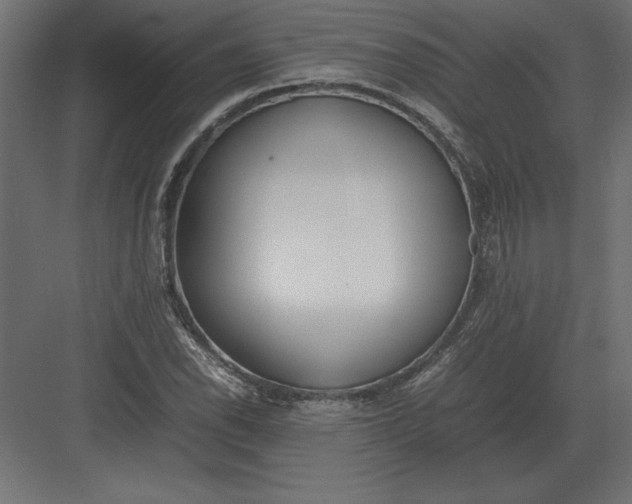 X0000082151118200702092144