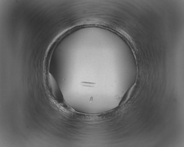 X0000082151120200702092144