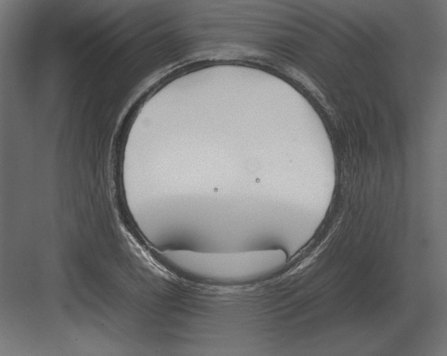 X0000082151122200702092144