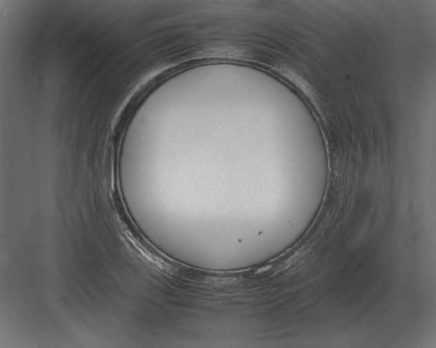 X0000082151123200702092144