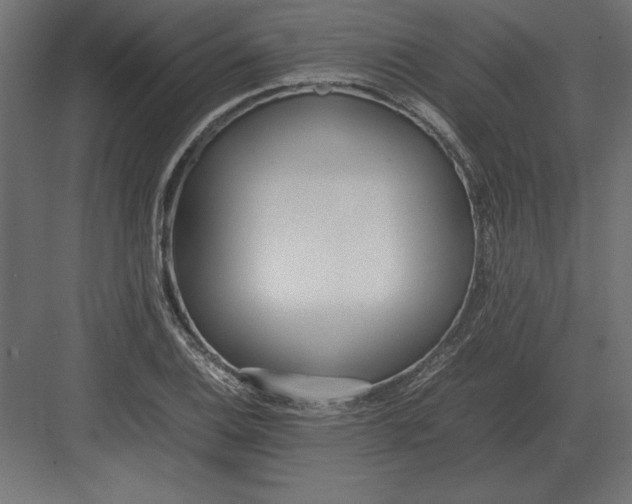 X0000082151124200702092144