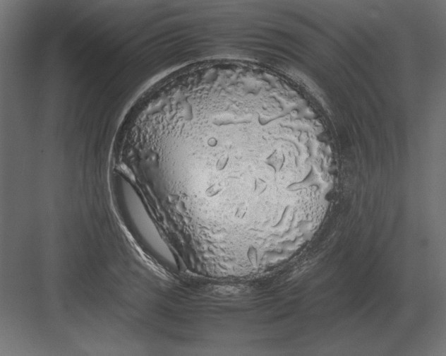 X0000082151125200702092144