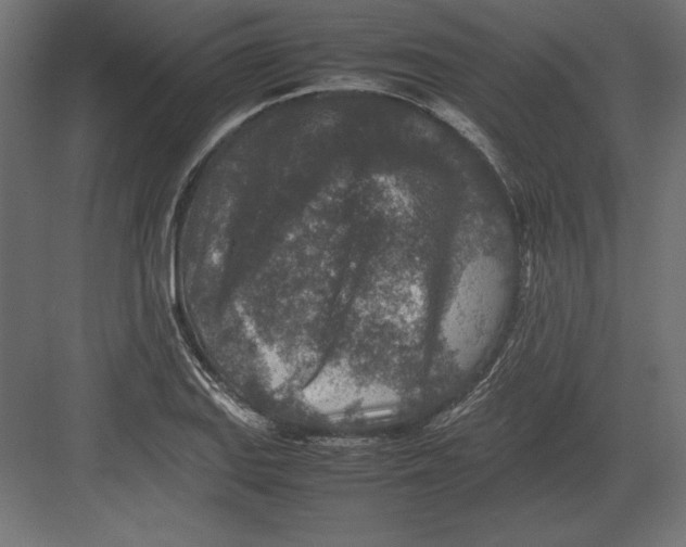 X0000082151127200702092144