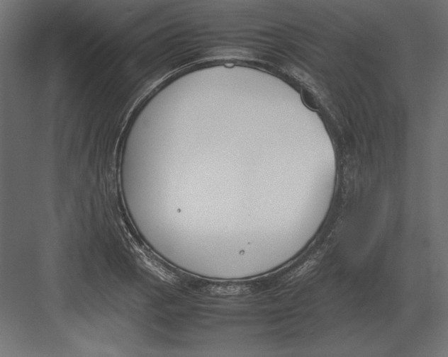 X0000082151129200702092144