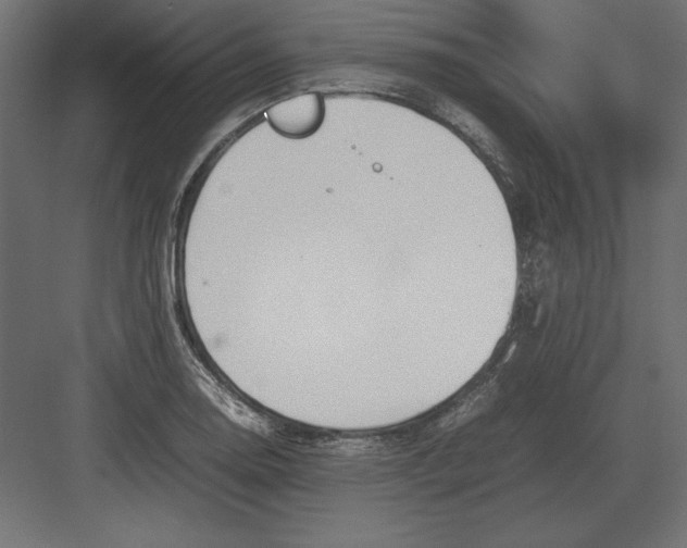 X0000082151130200702092144