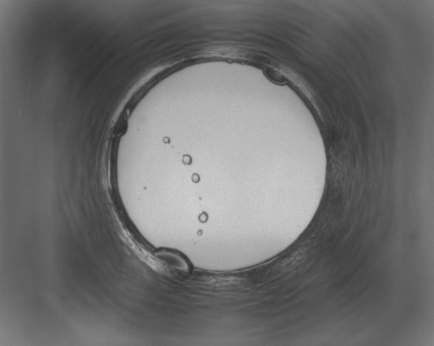 X0000082151131200702092144