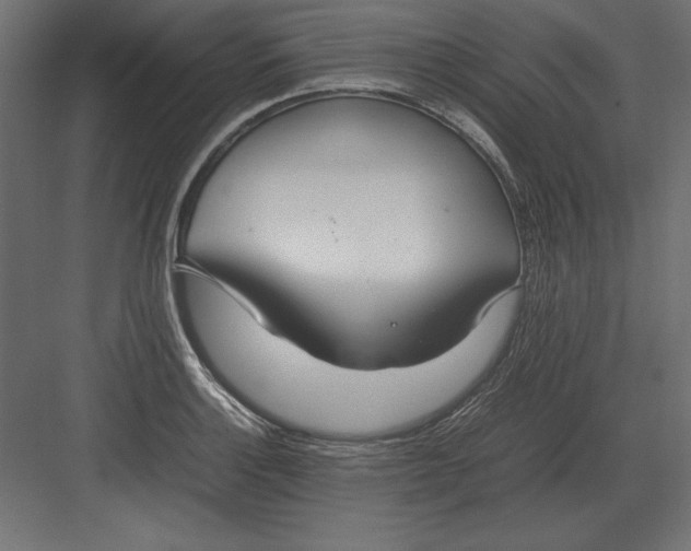 X0000082151132200702092144