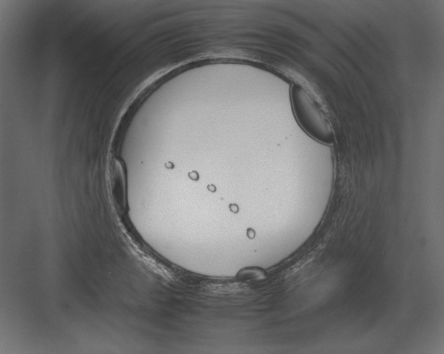 X0000082151133200702092144