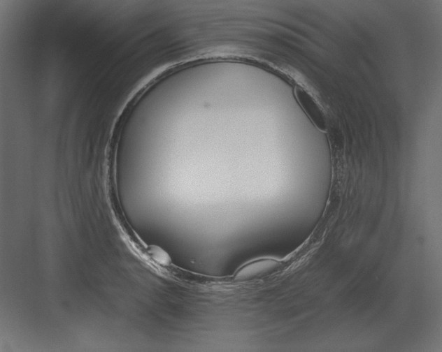 X0000082151134200702092144