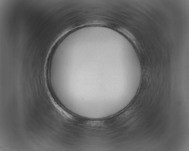 X0000082151135200702092144