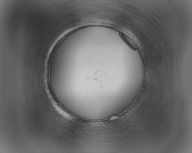 X0000082151136200702092144