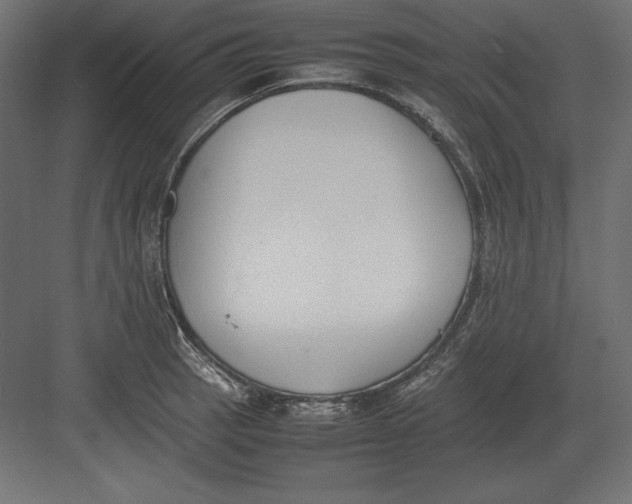 X0000082151137200702092144