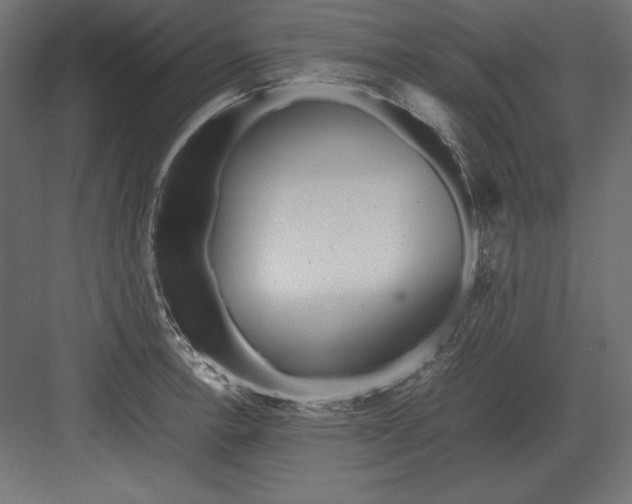 X0000082151138200702092144