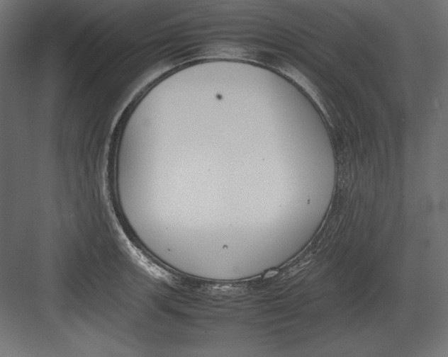 X0000082151139200702092144