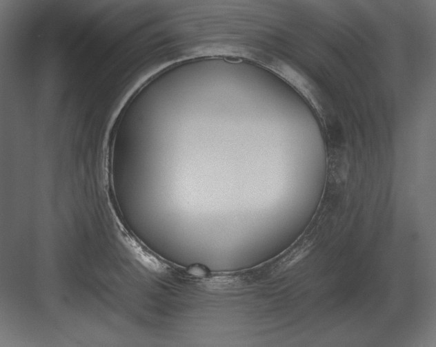 X0000082151140200702092144