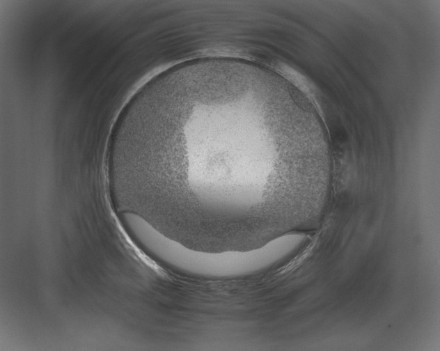 X0000082151141200702092144