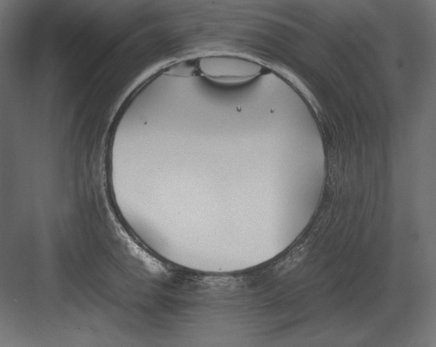 X0000082151142200702092144