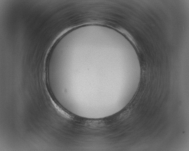 X0000082151143200702092144