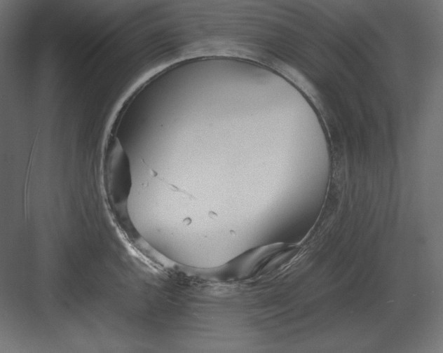 X0000082151144200702092144