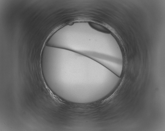 X0000082151145200702092144