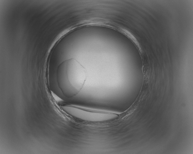 X0000082151146200702092144