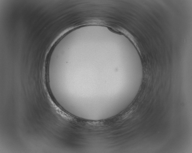 X0000082151147200702092144