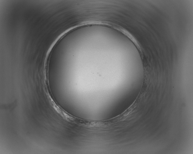 X0000082151148200702092144