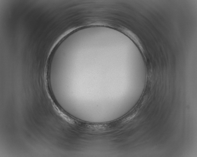 X0000082151149200702092144