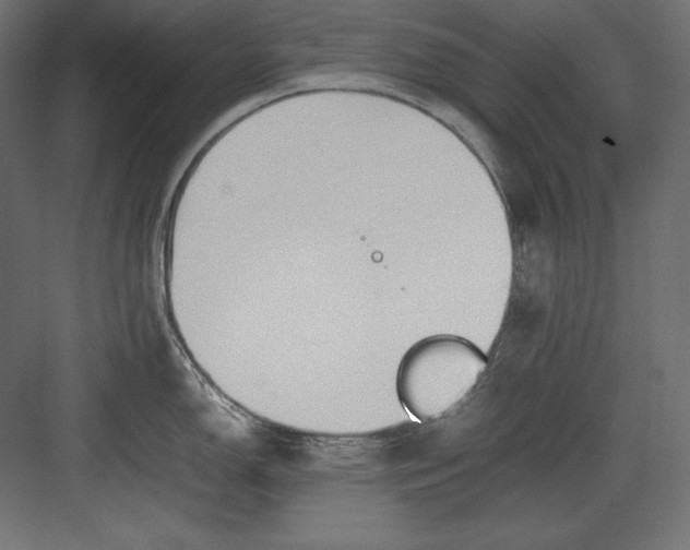 X0000082151150200702092144