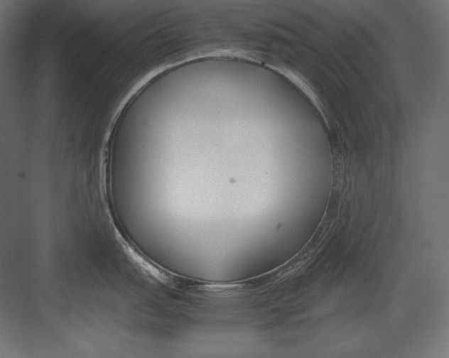 X0000082151151200702092144