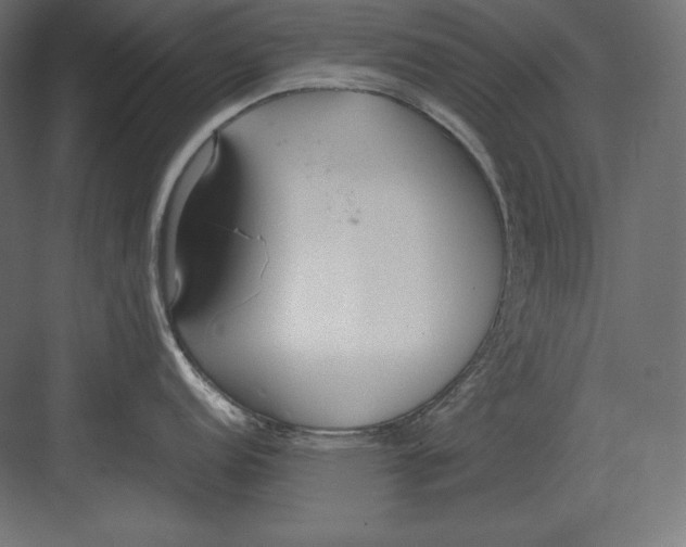 X0000082151152200702092144