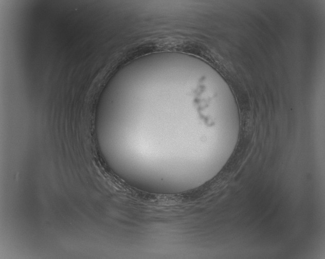 X0000082151153200702092144