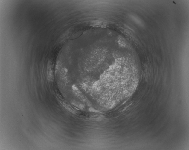 X0000082151154200702092144